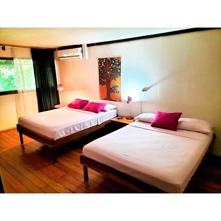 Puerto Viejo de Talamanca Cabinas Coconut Grove מראה חיצוני תמונה