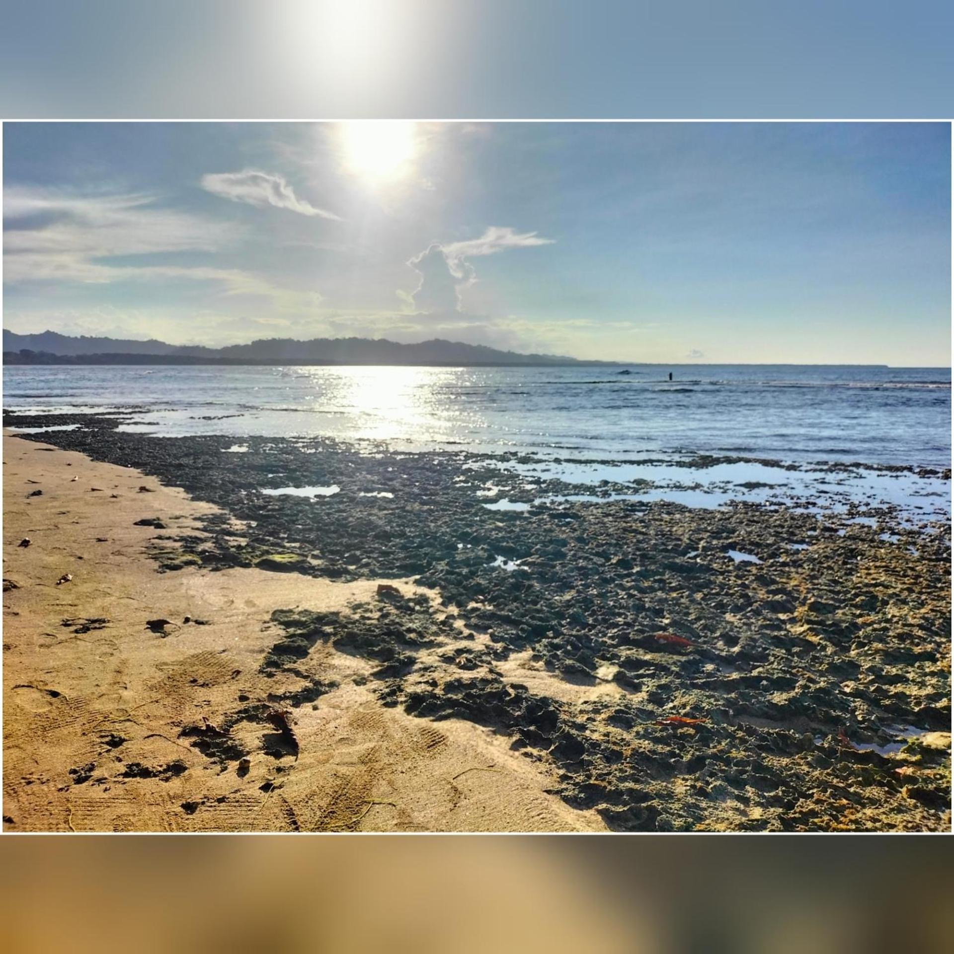 Puerto Viejo de Talamanca Cabinas Coconut Grove מראה חיצוני תמונה